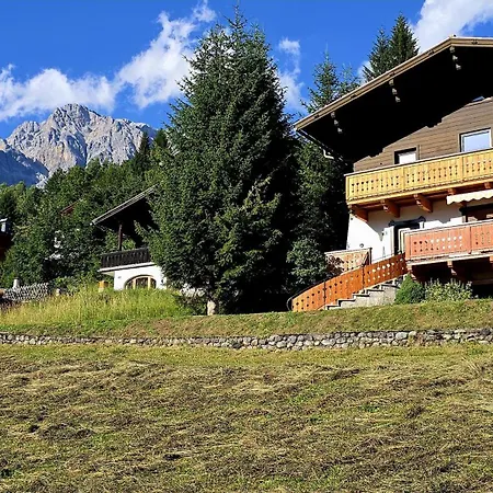 Alpenstern Hochkoenig