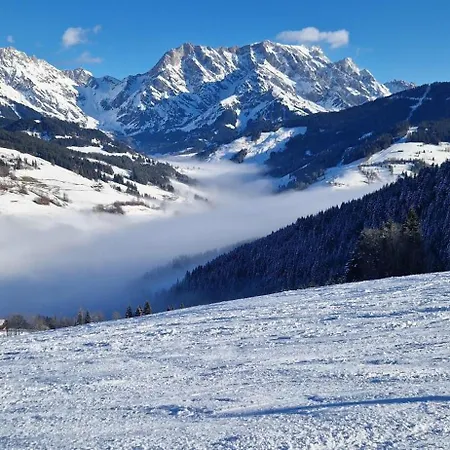 Alpenstern Hochkoenig *